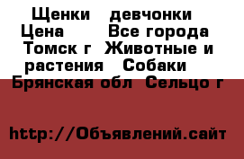 Щенки - девчонки › Цена ­ 2 - Все города, Томск г. Животные и растения » Собаки   . Брянская обл.,Сельцо г.